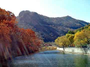 新澳门二四六天天彩，铝冲孔板